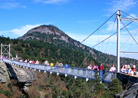 Fun things to do in Brevard NC : Place holder for non-business photo. 